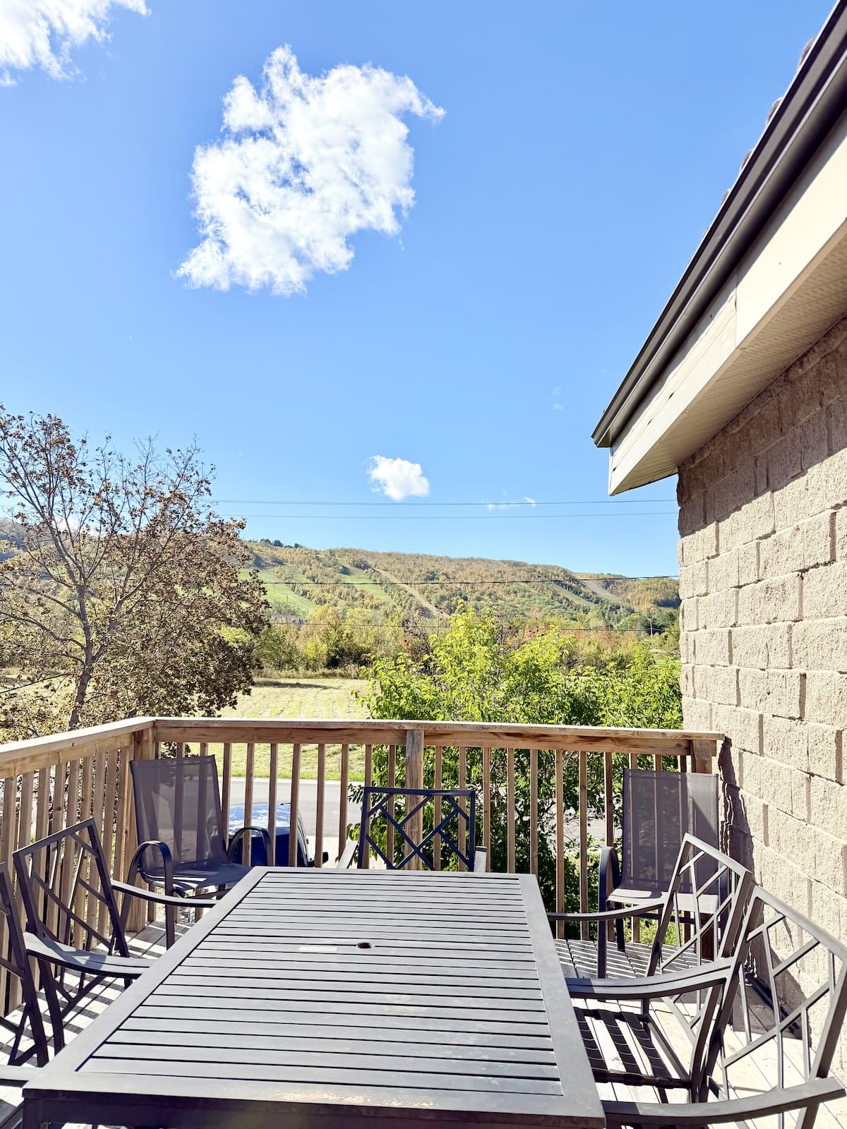 The Blue Mountains landscape viewed from Ski View Chalet in the warmer months